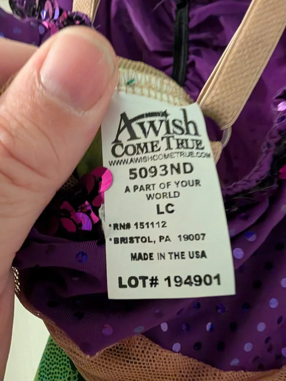 A Wish Come True Mermaid Dance Recital Costume 